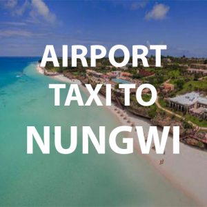 Aerial picture of Nungwi